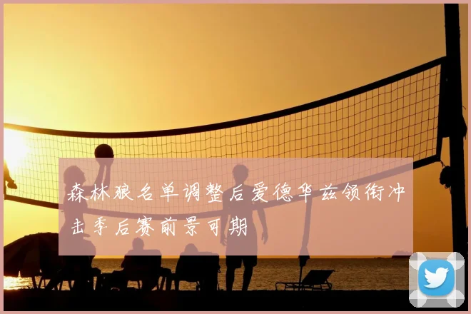 森林狼名单调整后爱德华兹领衔冲击季后赛前景可期